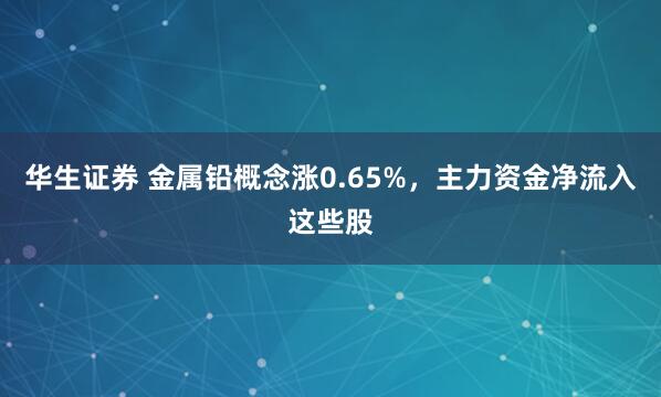 华生证券 金属铅概念涨0.65%，主力资金净流入这些股