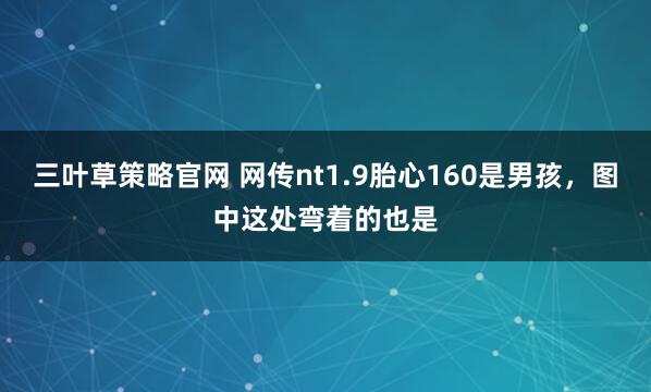 三叶草策略官网 网传nt1.9胎心160是男孩，图中这处弯着的也是