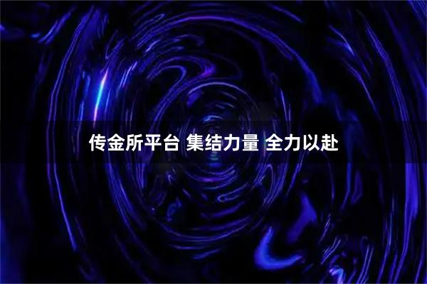 传金所平台 集结力量 全力以赴