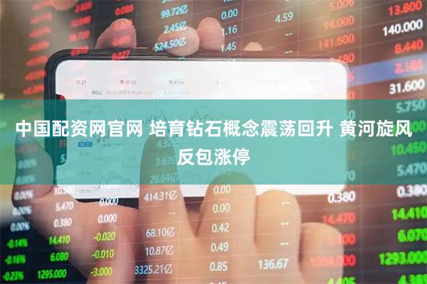 中国配资网官网 培育钻石概念震荡回升 黄河旋风反包涨停